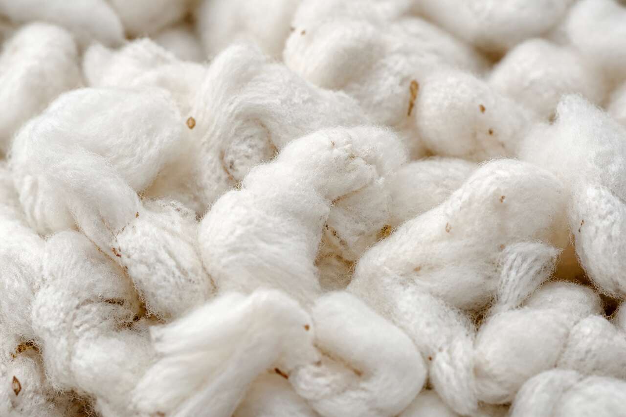 Le coton : zoom sur la matière textile